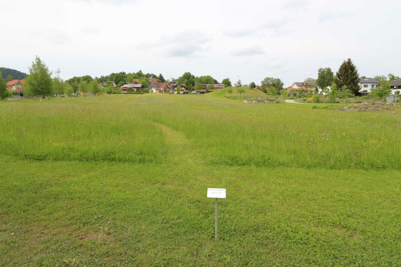 Fewo Mit Malerischem Bergblick Im 比斯科夫斯麦斯 外观 照片